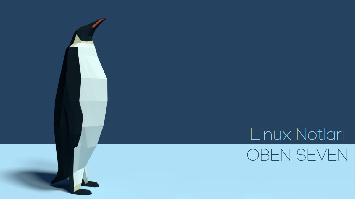 2- Bazı Linux Terminal Kullanım İpuçları
