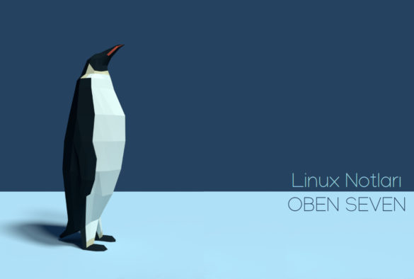 1- Linux Komut Satırı 1