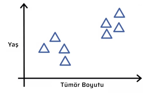 Denetimsiz Öğrenme - Gözetimsiz Öğrenme - Unsupervised Learning