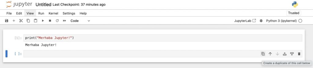 Jupyter Notebook ile Çalışmak 10 Jupyter Notebook ile Çalışmak 9